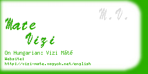 mate vizi business card
