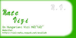 mate vizi business card